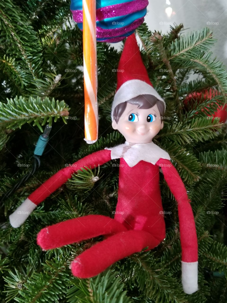 elf in the tree
