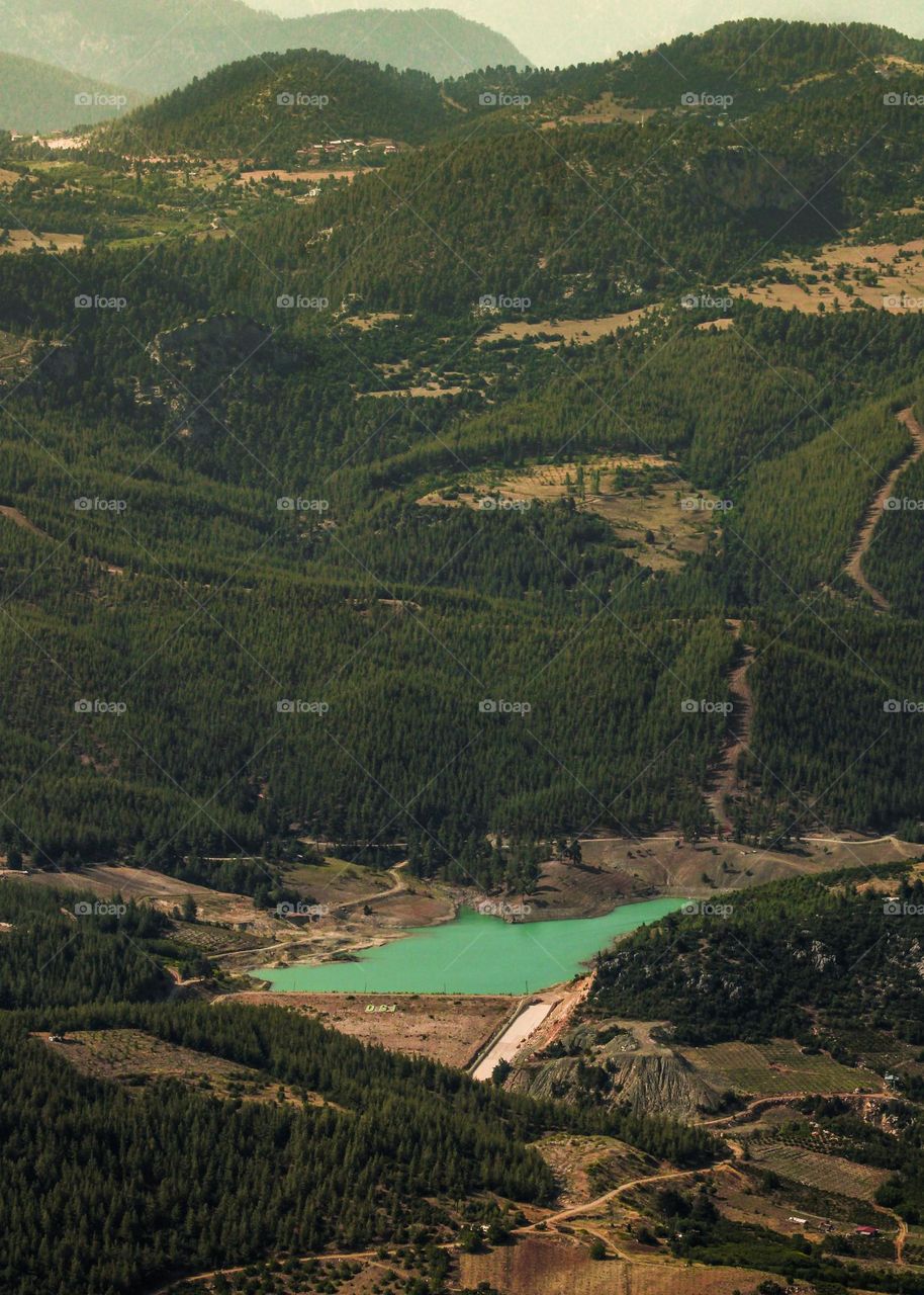 Pictures from nature