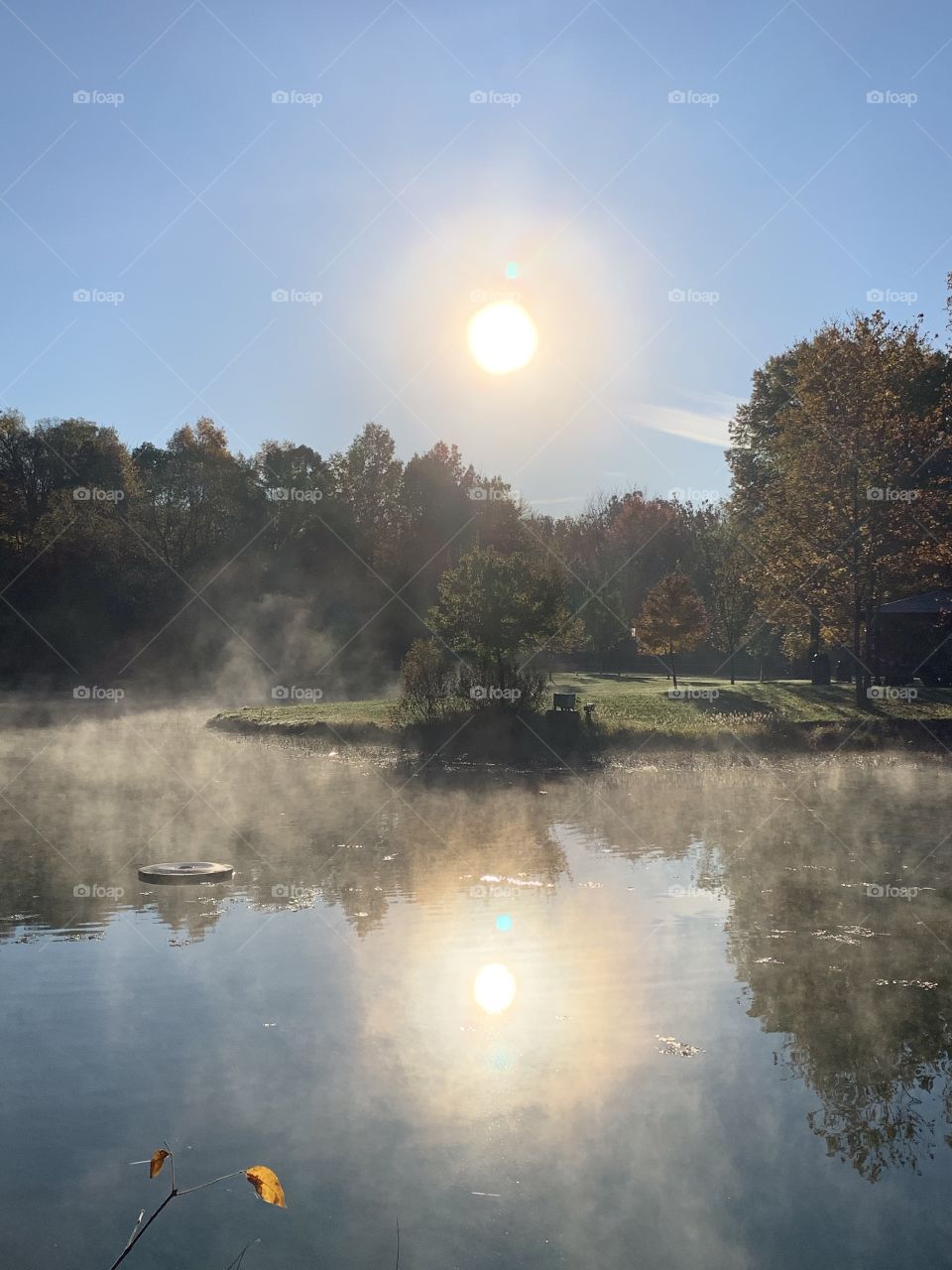 The mist rising from the pond at a local park. Lots of light, some shadows, a touch of green, and the pond looks like it’s on fire.