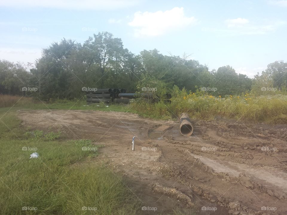 developmental elements