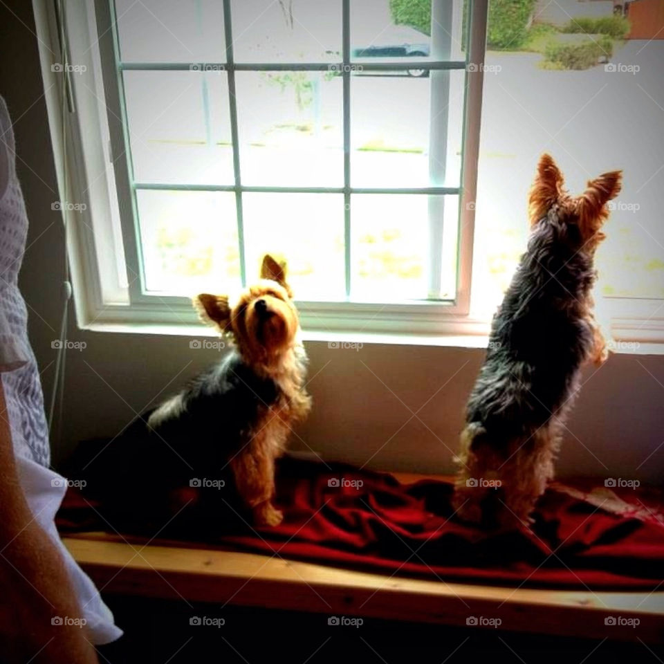 Can We Go Out To Play