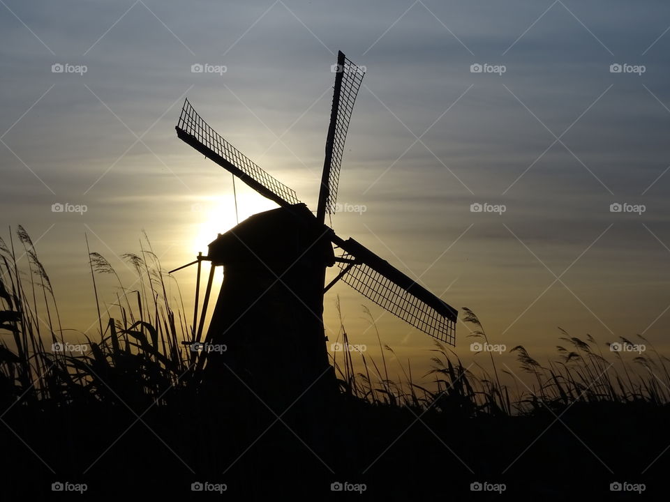 Windmill in The Netherlands