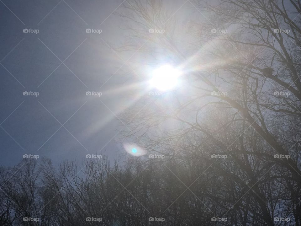 Sunlight through some trees