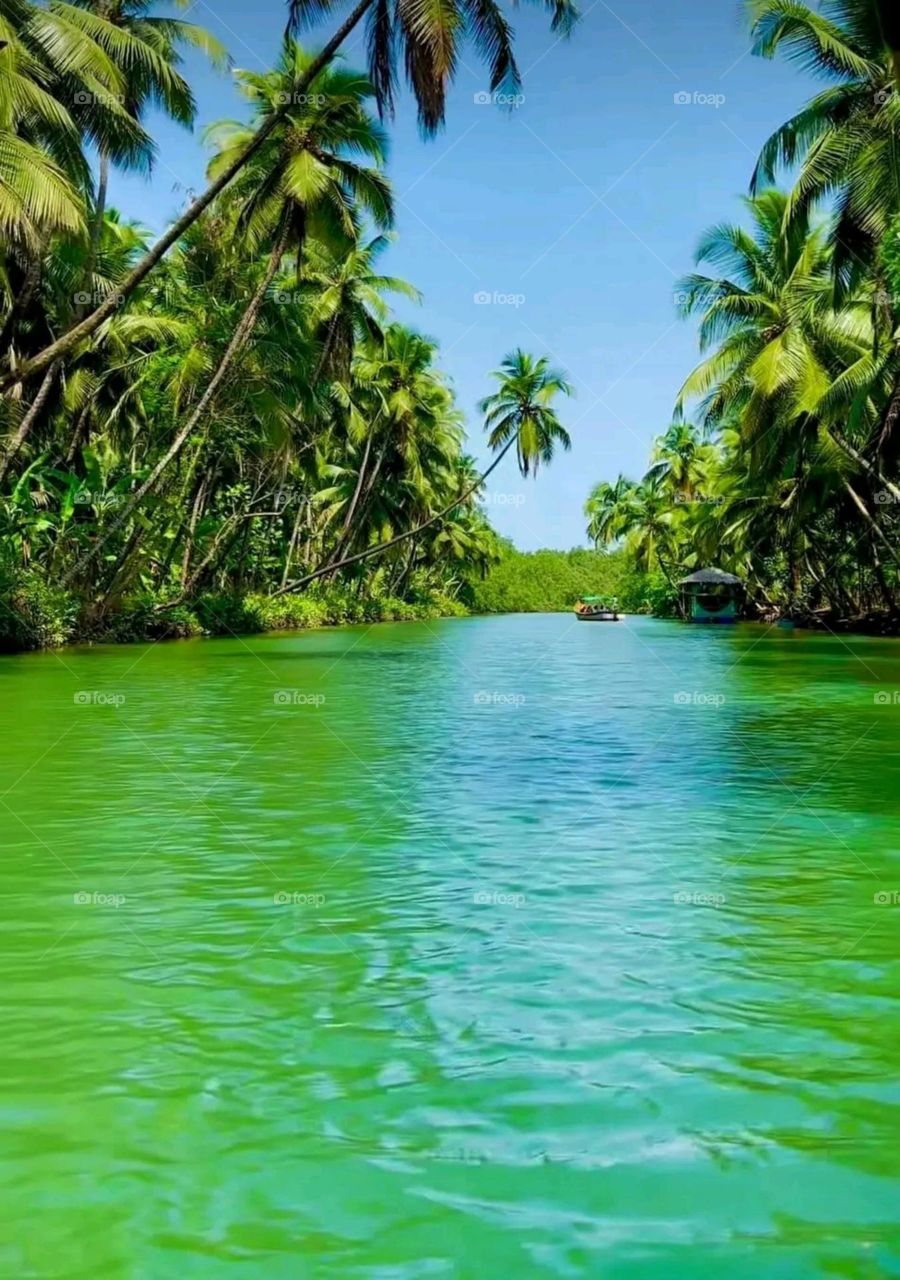 most beautiful and attractive view.