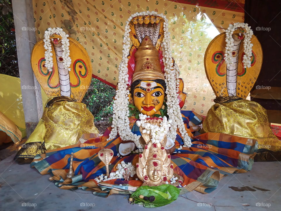 south Indian snakes god