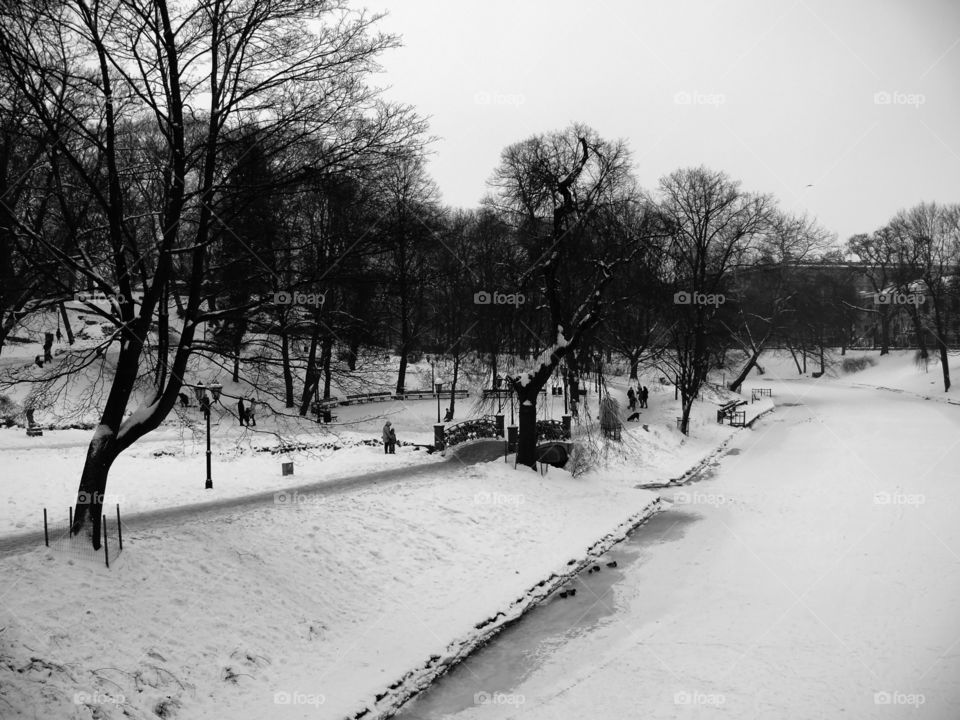 Black and white shot of winter landscape in Riga, Latvia.