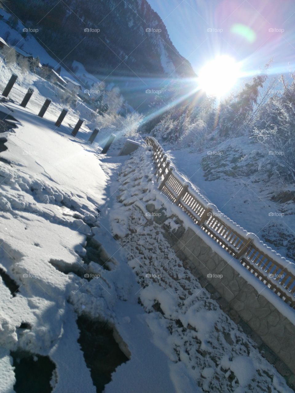 Winter dreams lands cap