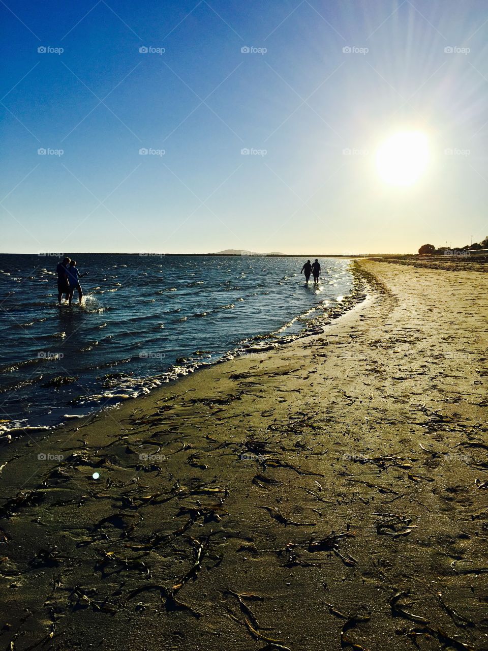 Two couples walking in surf and on beach at the golden hour, silhouettes