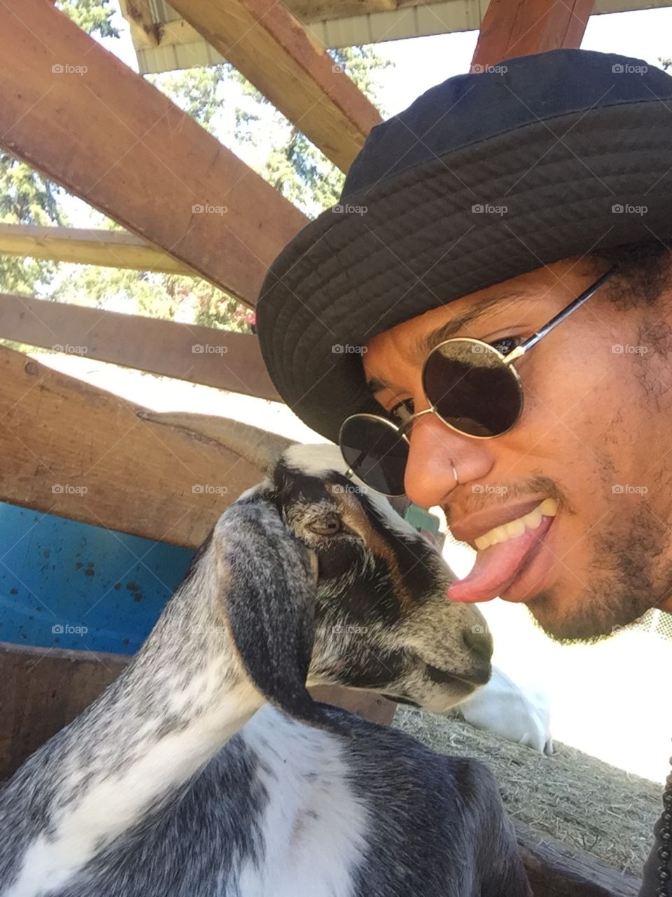 Kissing a goat... in a farm 