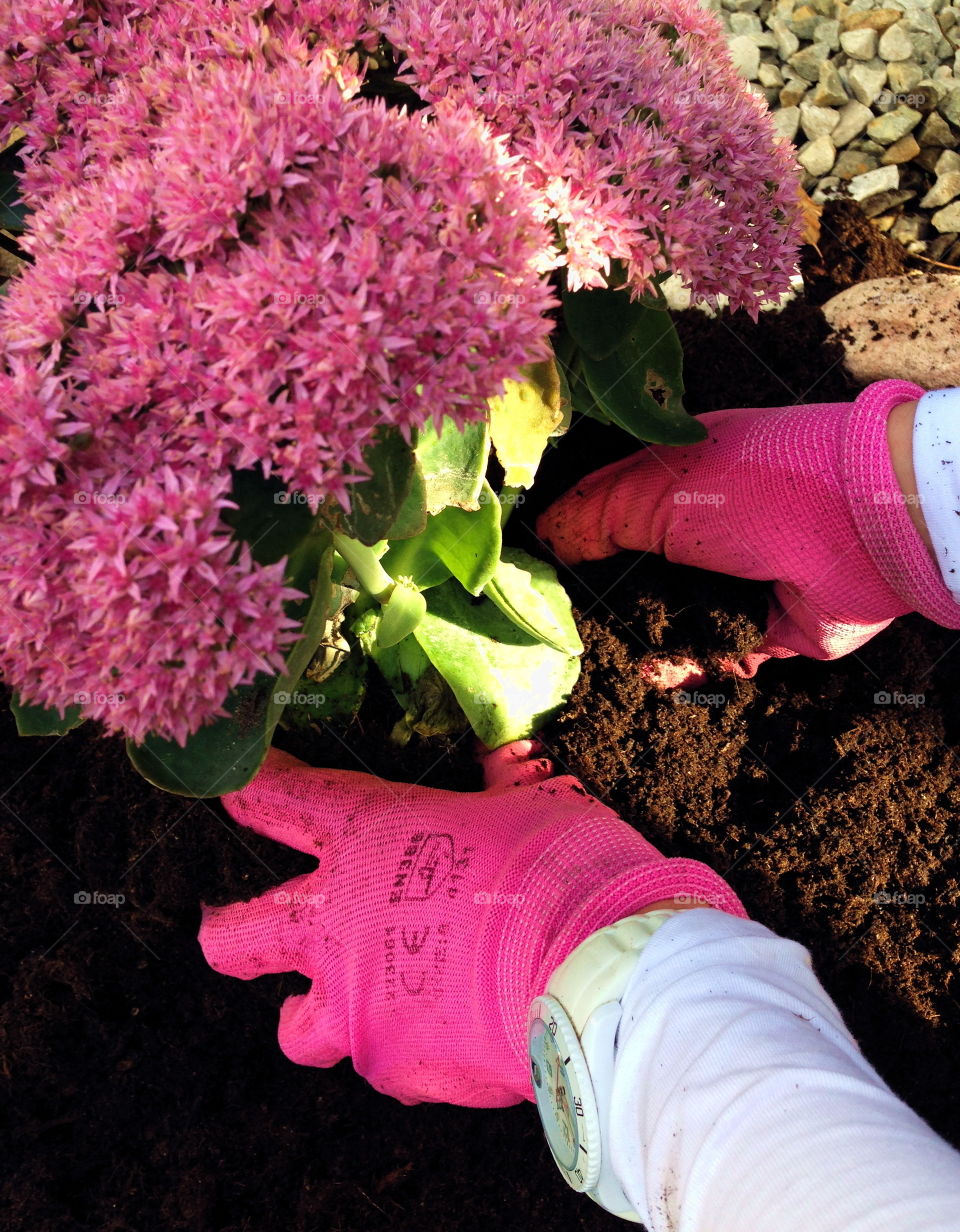 Gardening fashion in pink.