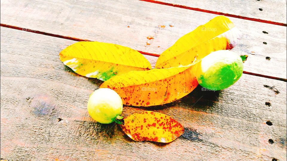 Editors choice of photos line