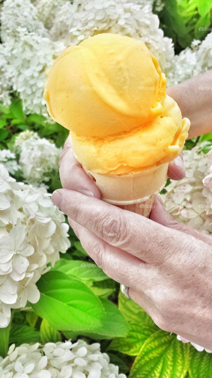 Hands Holding Ice Cream