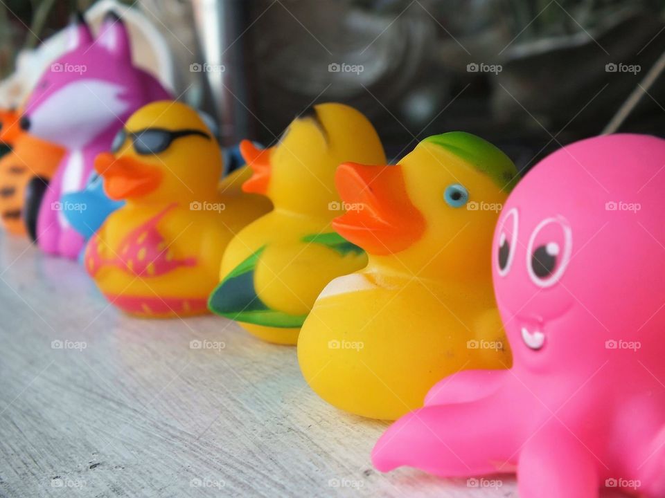 Rubber duckies...