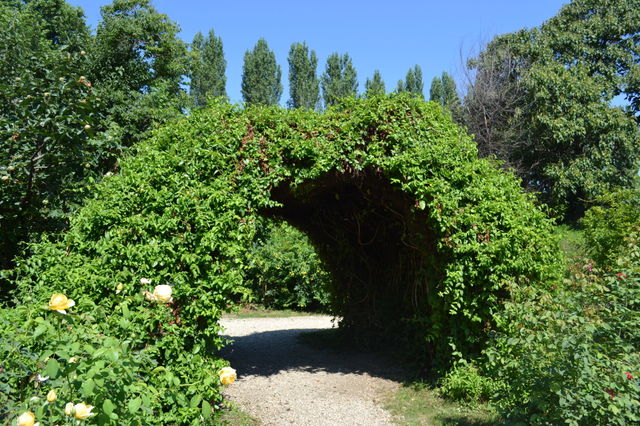 entrance in nature