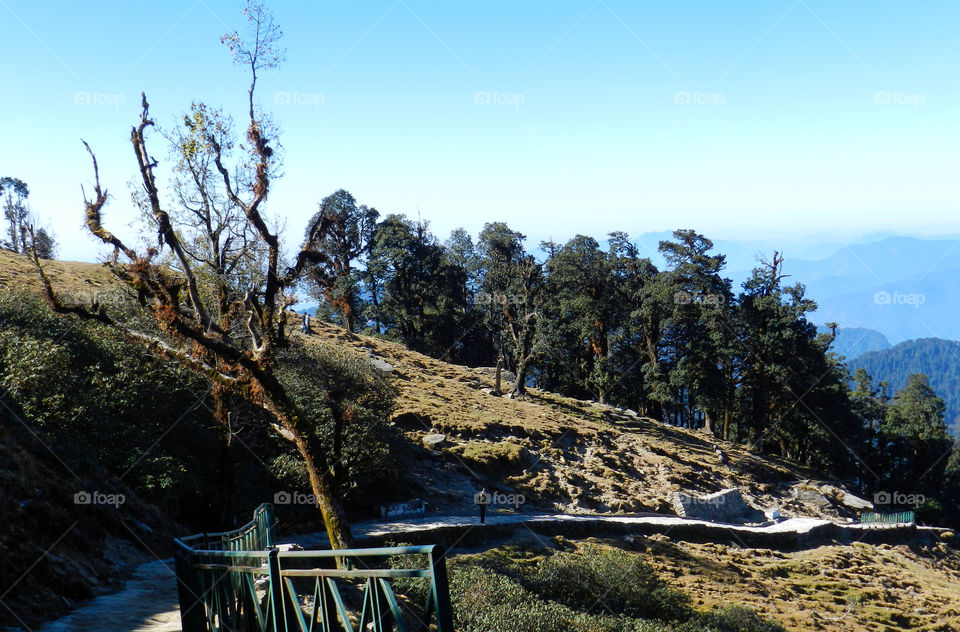 chopta valley