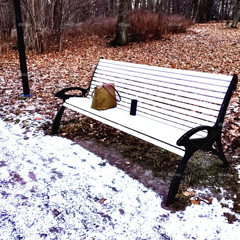 Winter Park Bench Bag