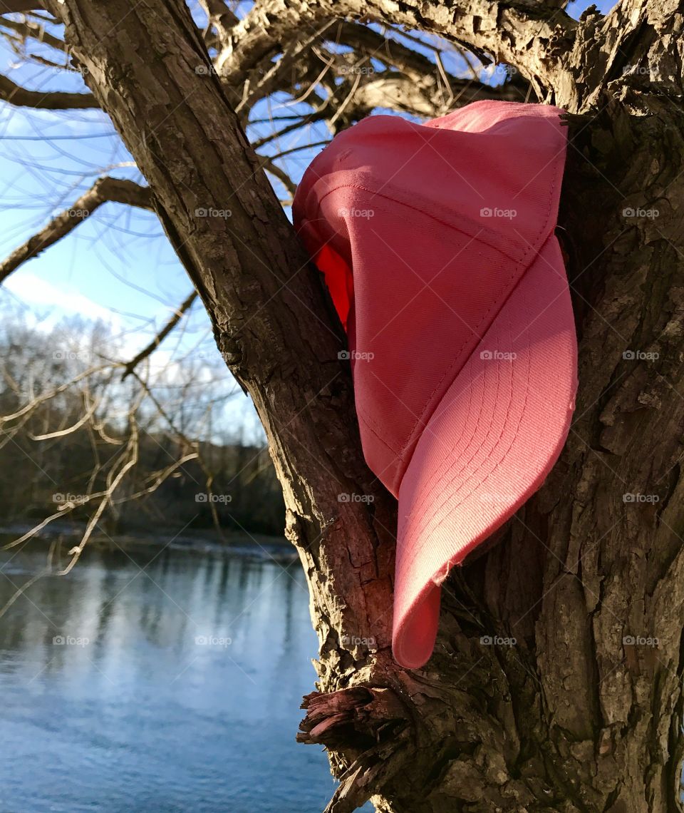 Pink Hat in Tree