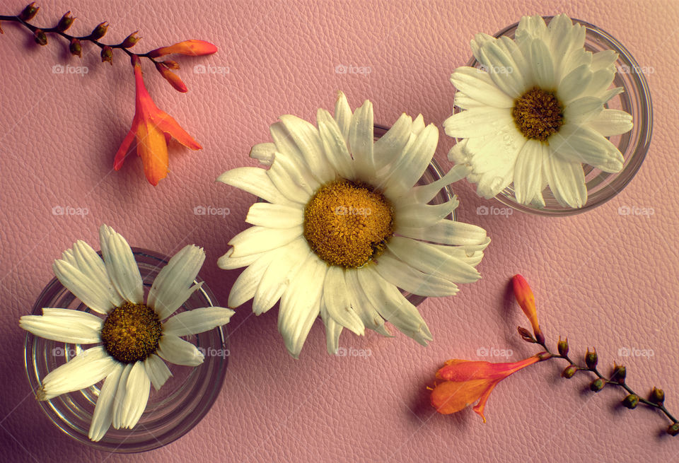 flowers on the table