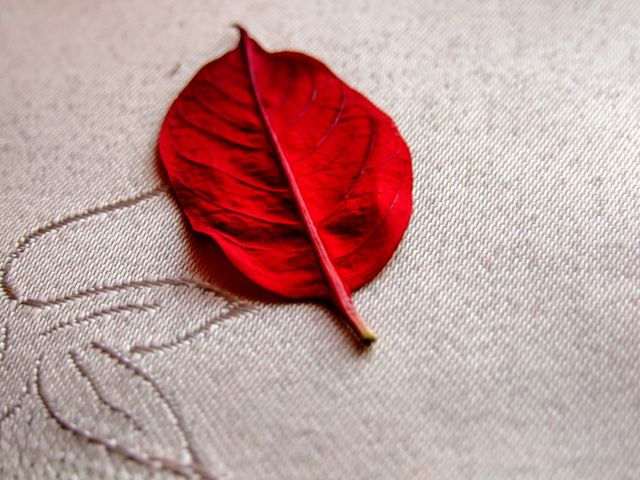 leaf