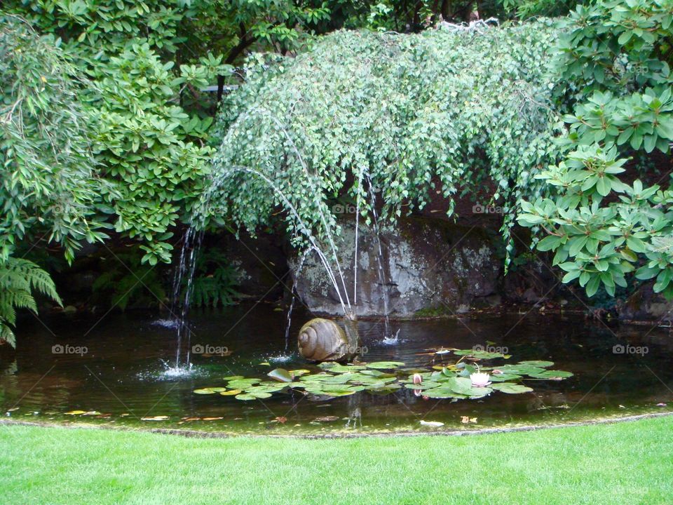 Snail water fountain 