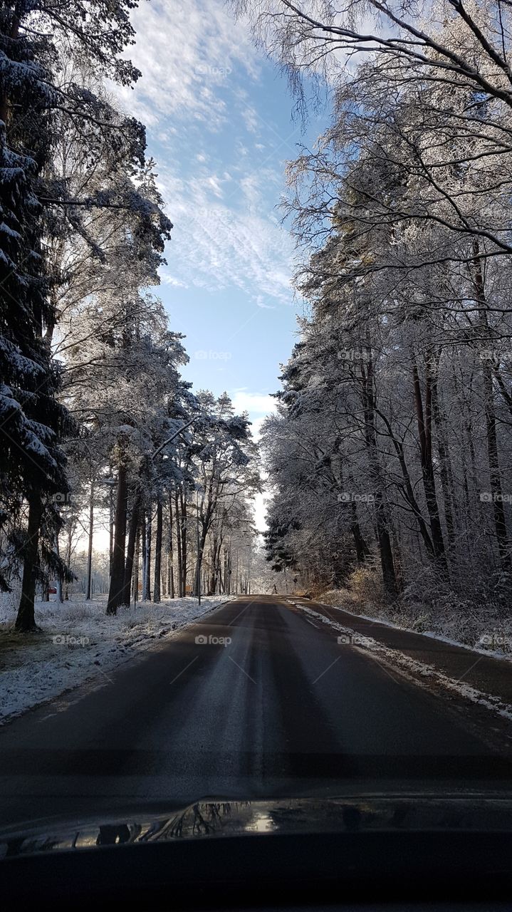 Driving through a snowy forest- åker bil genom snöig skog 