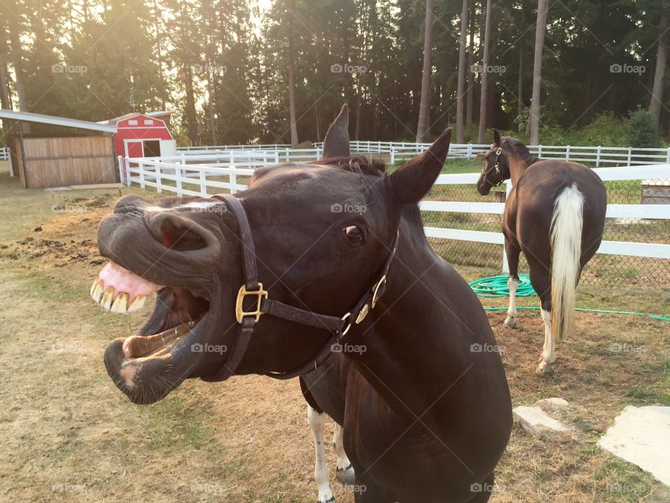 Hey Hay Hey...Do I have something in my teeth?