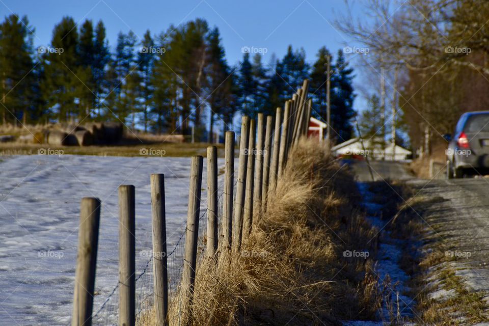 Fence