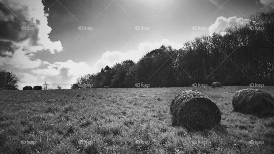 Hay on a field 