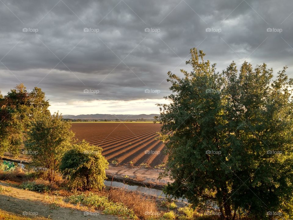 Farmland Barcode