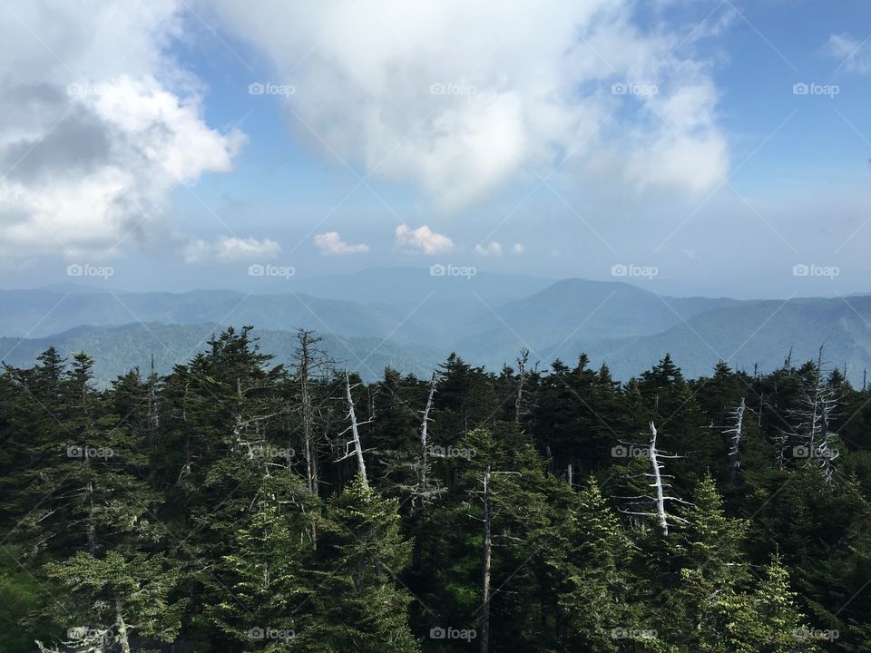 Top of the dome. Taken from the top of Clingmans Dome