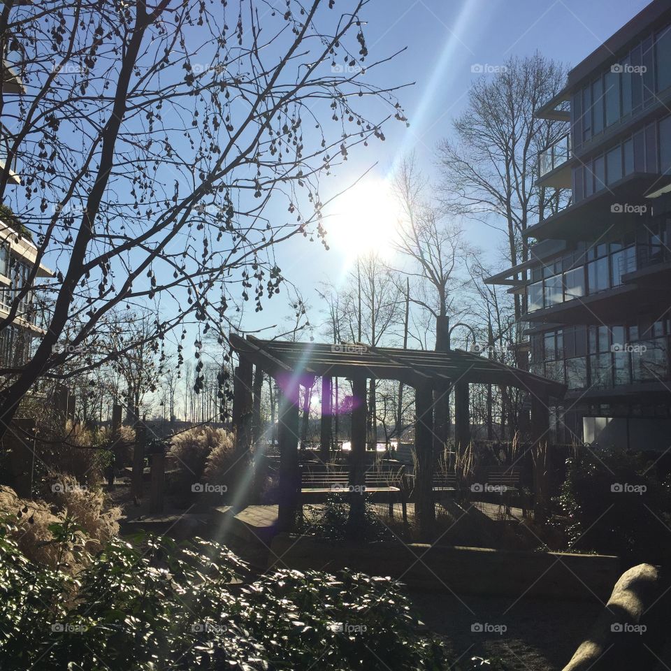 Beautiful day along the river in Vancouver, British Columbia 
