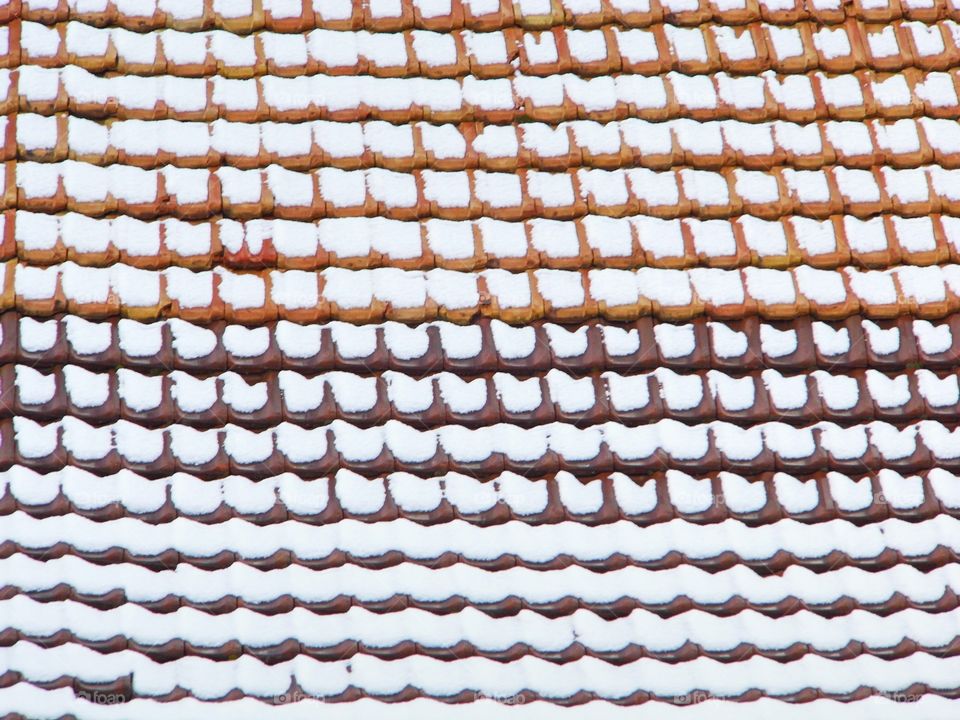 pattern or background and Snow White