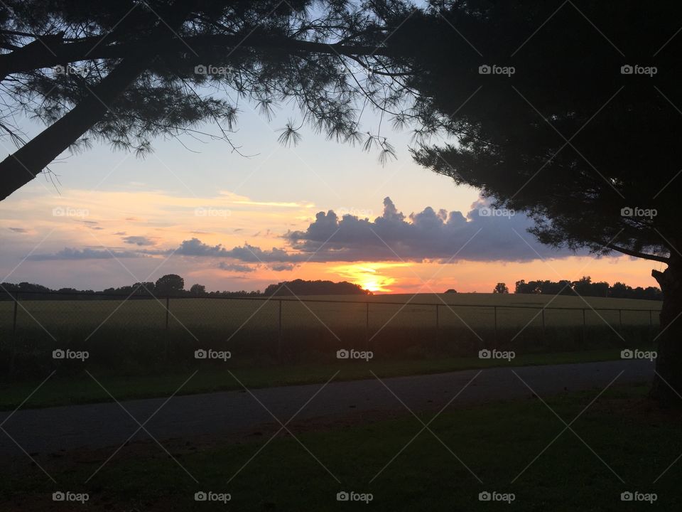 Landscape, Sunset, Dawn, Tree, No Person