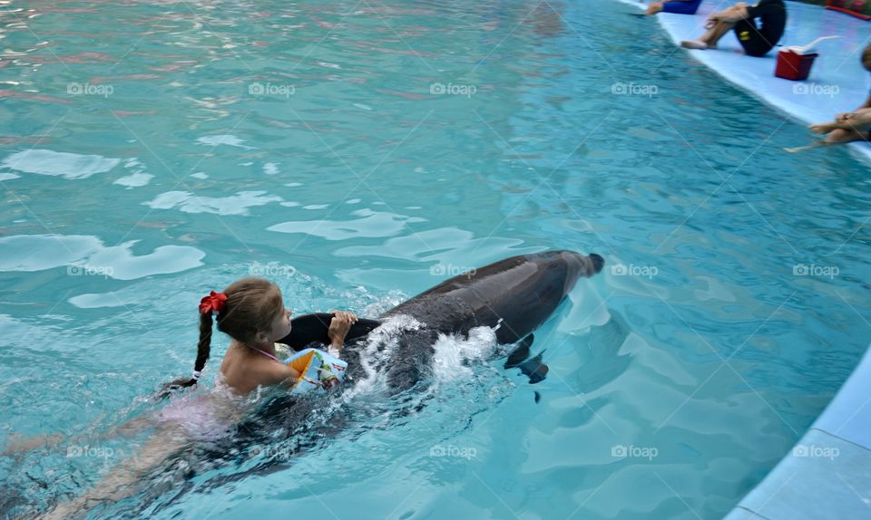 girl and dolphin swim together