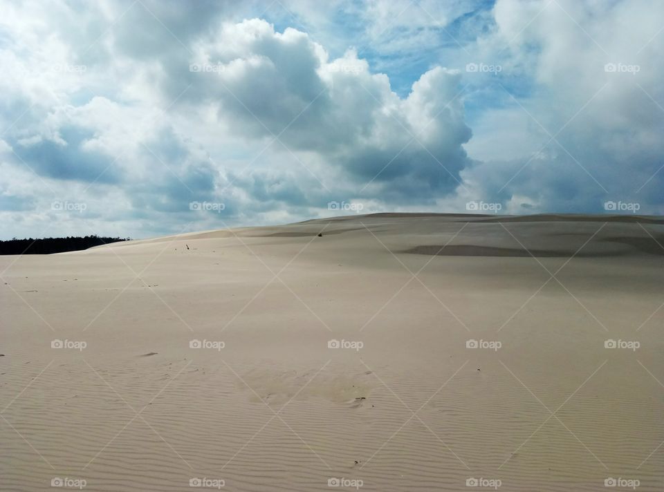 Landscape, Beach, Sand, Water, No Person