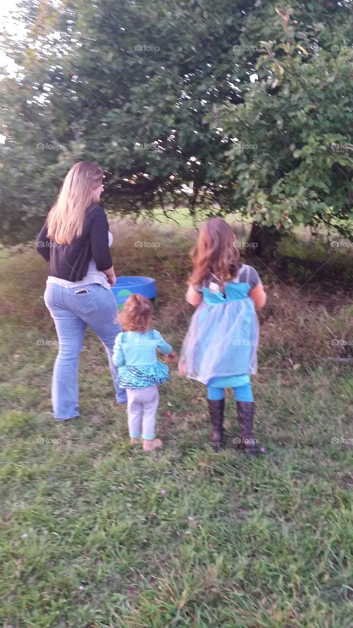 sisters and a friend apple picking in a yard nys