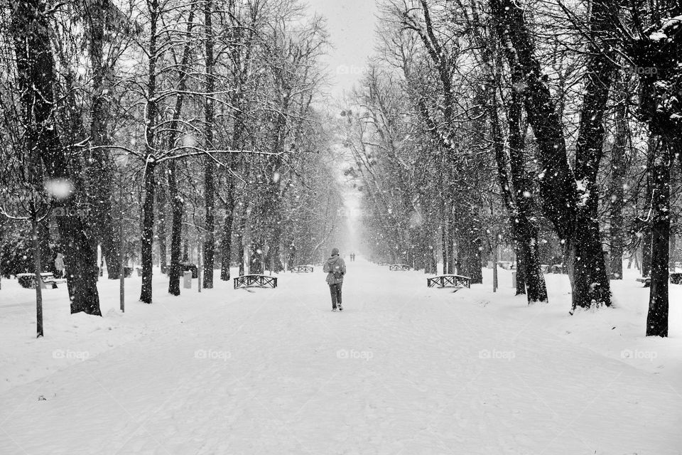 Scenic view in black and white of tranquil winter scenery.