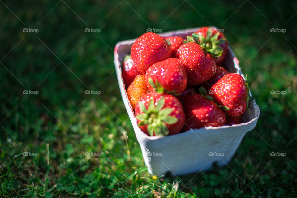 Close-up of strawberry
