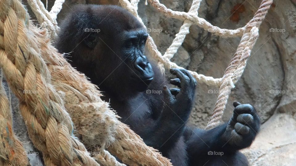 What do I see in my hands?