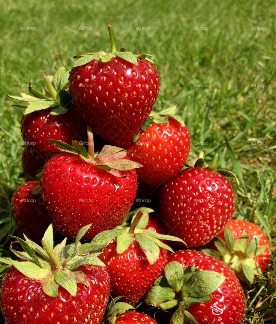 Strawberrytower