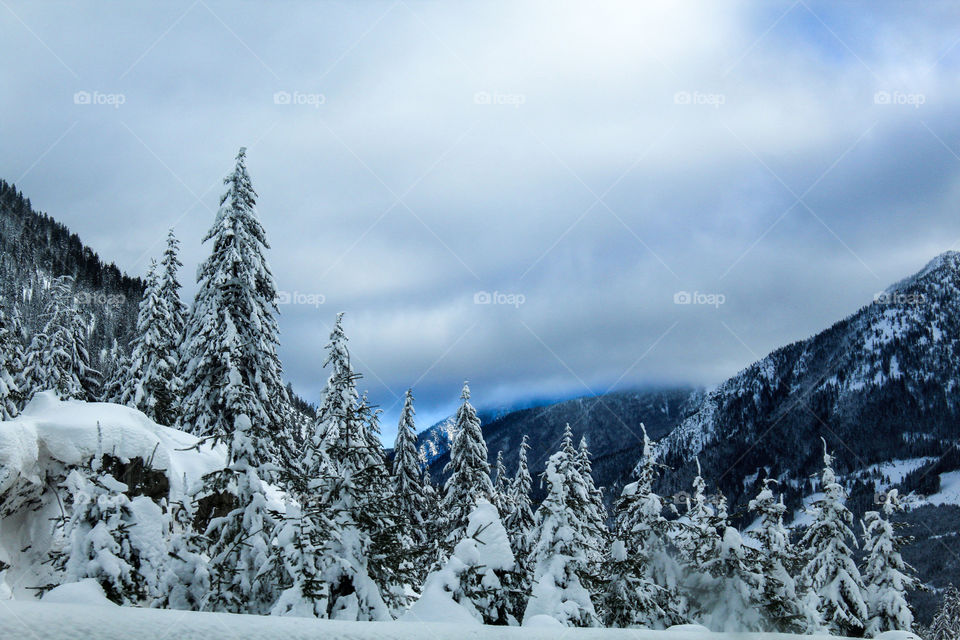 Snowy trail 