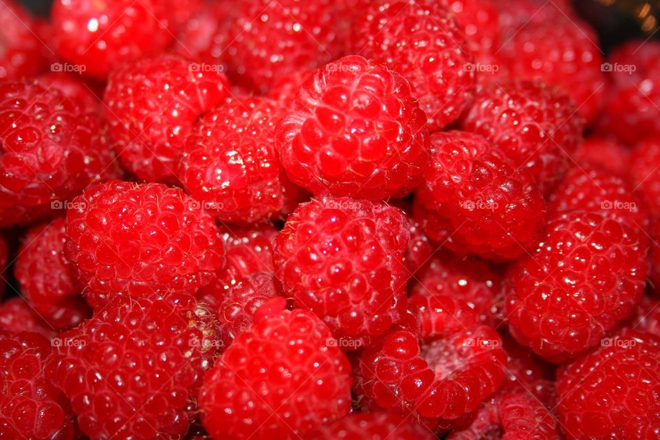 Full frame of raspberries