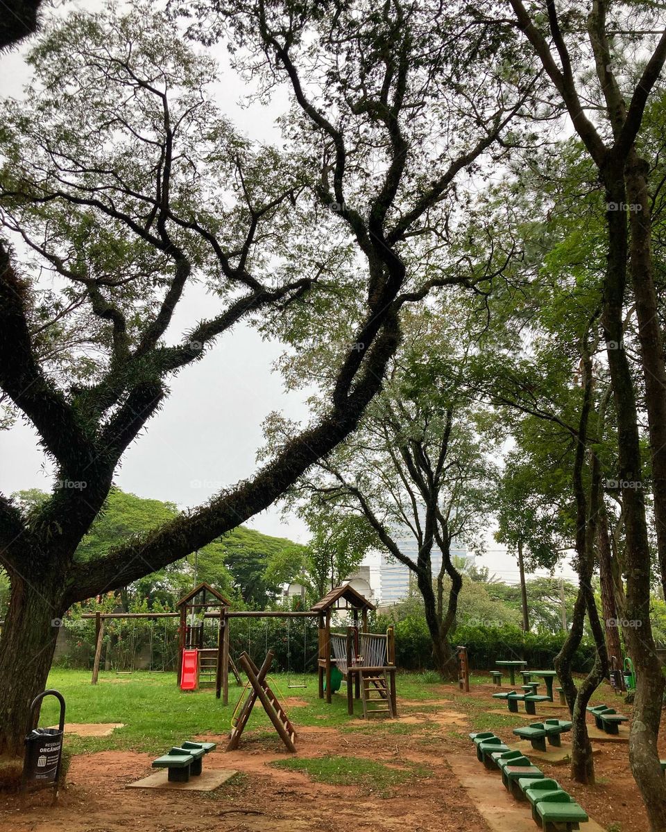 Na manhã friolenta, estou no aguardo da labuta contemplando o Parque da Uva.
Que espaço tão verde numa área tão central, não?
Viva a natureza e a sua beleza. (Jundiaí- SP)