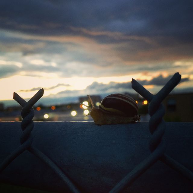 Not everyone is in a rush to get where they're going 