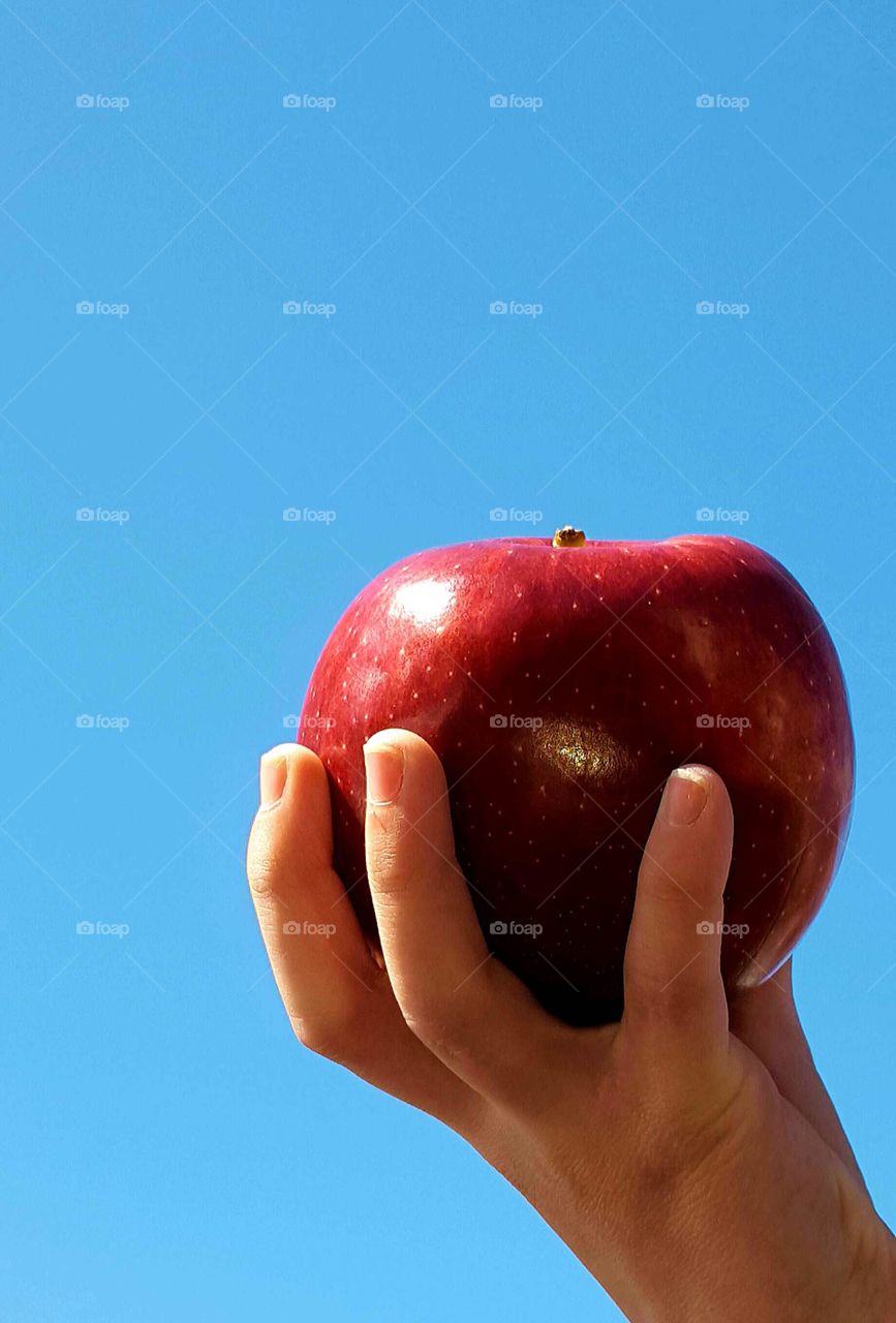 Apple Against Blue Sky