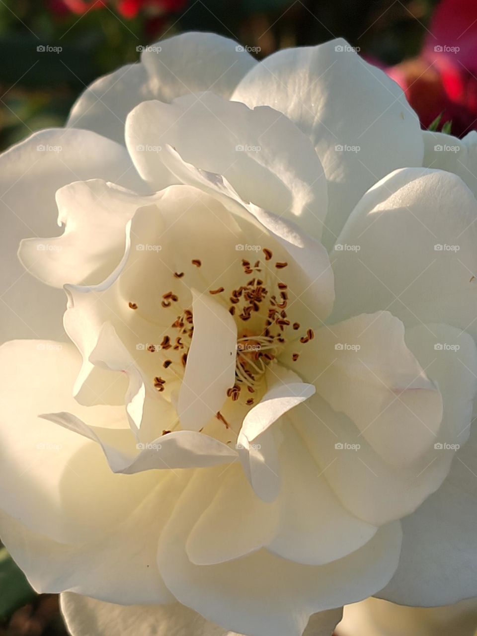 Best photo upload the whole world