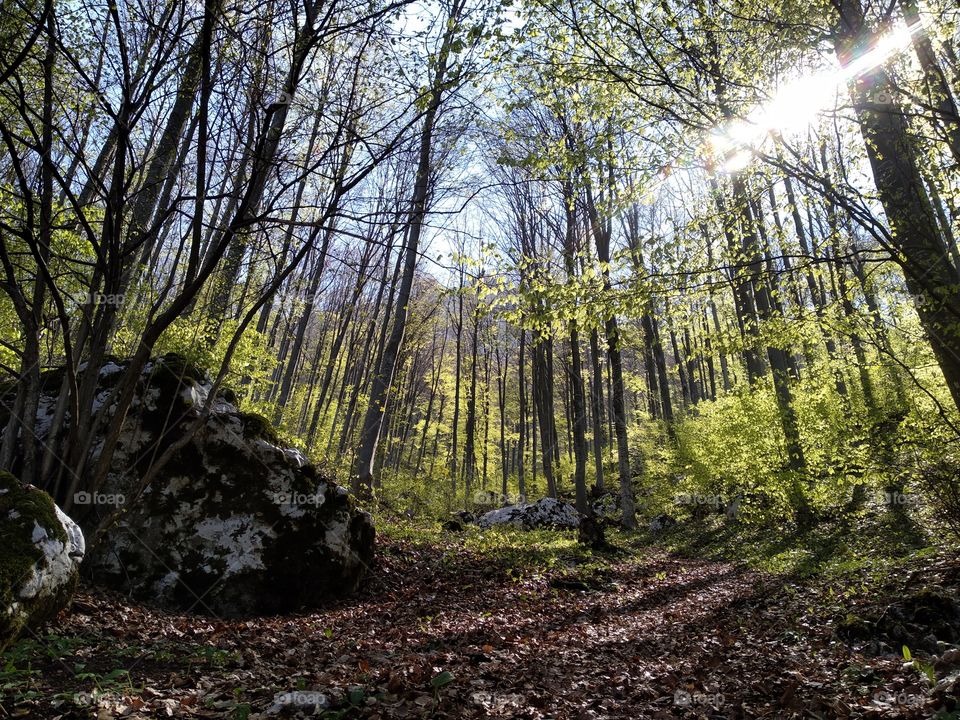 Follow your goals and the way will show