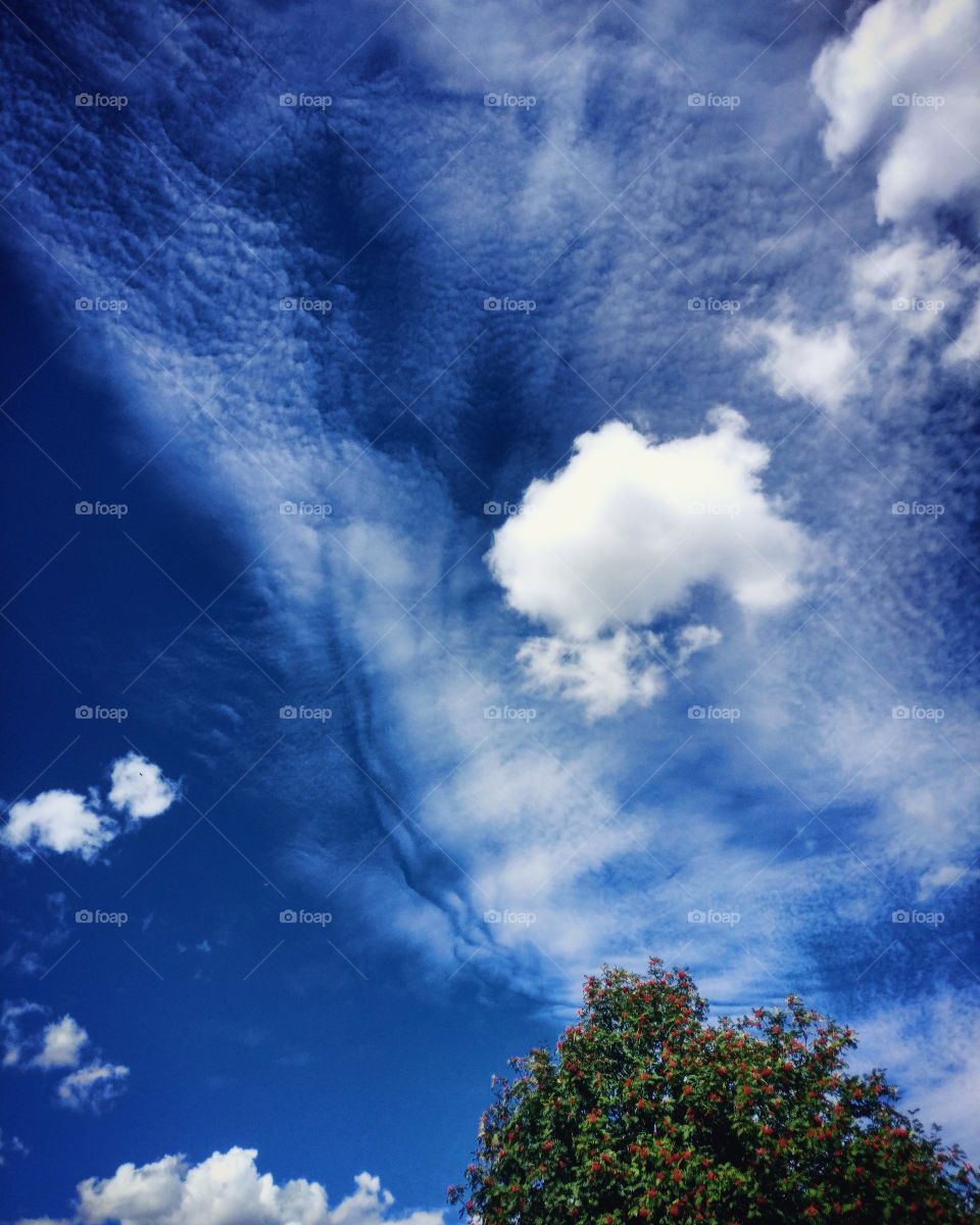 #weird #clouds + tree + sky