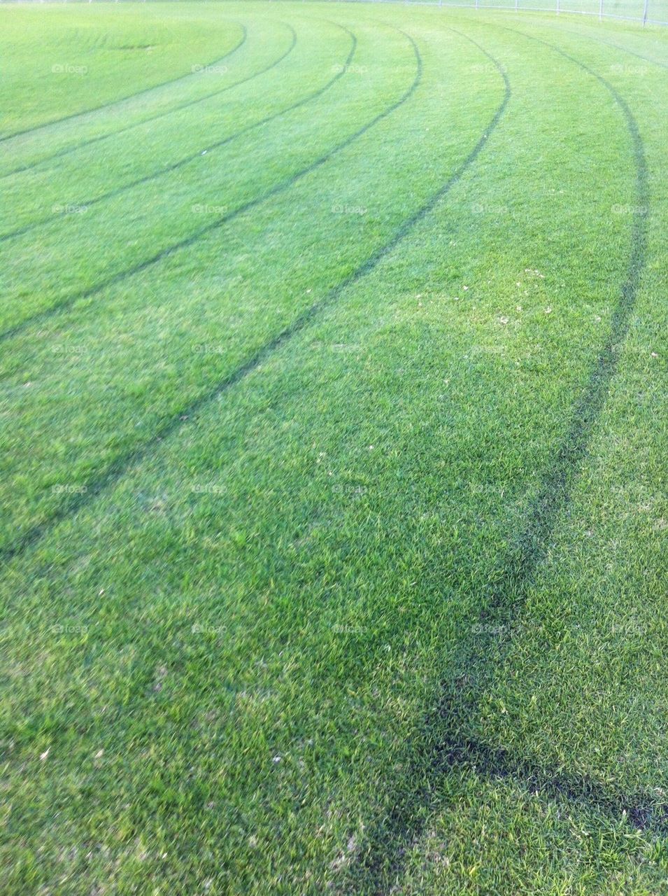 green field grass lines by king