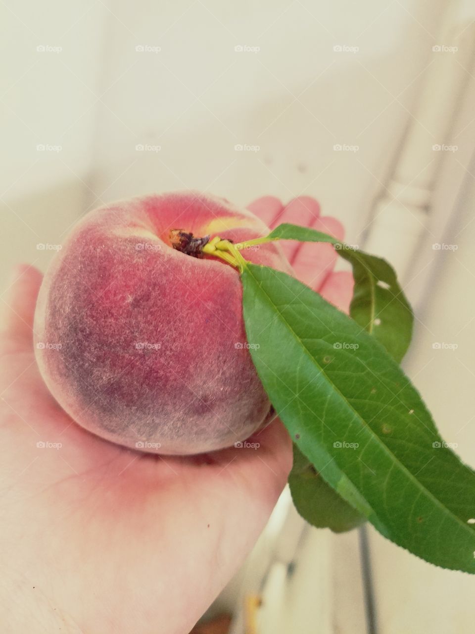 life's a peach......